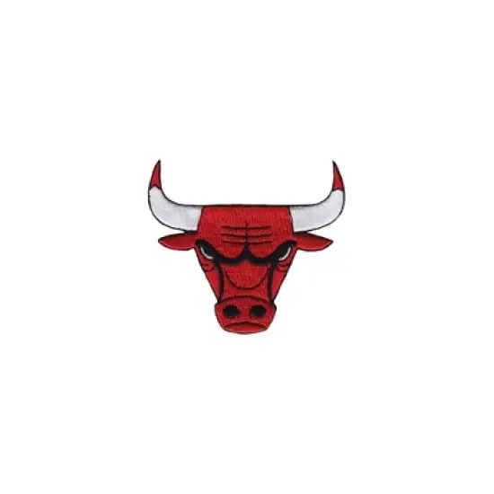 NBA Chicago Bulls 24oz Primary Logo Classic Tumbler image {1}