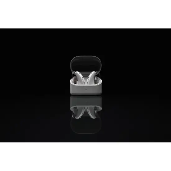 Zepp Omni Hearing Aids (Gray) image {5}