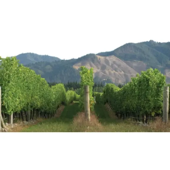 Infamous Goose Sauvignon Blanc White Wine - 750ml Bottle image {5}