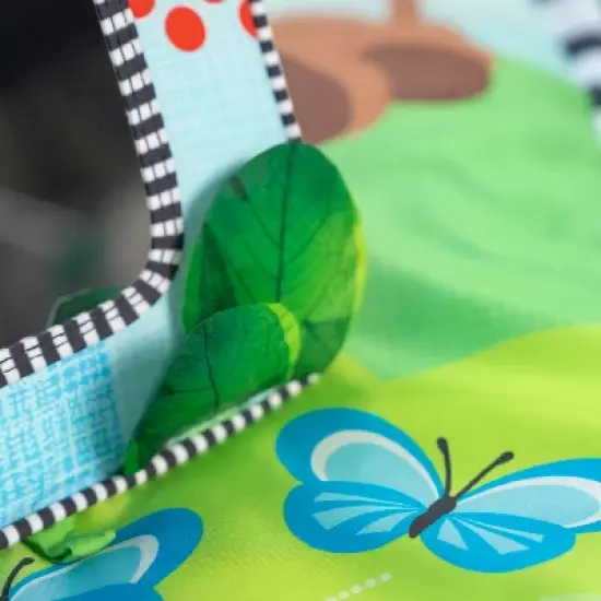 Baby Einstein Discover Garden Tummy Time Baby Playmat and Mirror image {12}