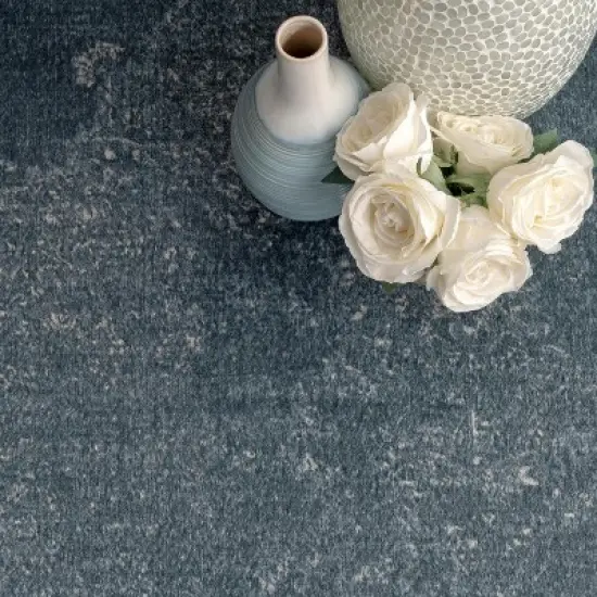 nuLOOM Cantrell Faded Transitional Fringe Area Rug image {5}