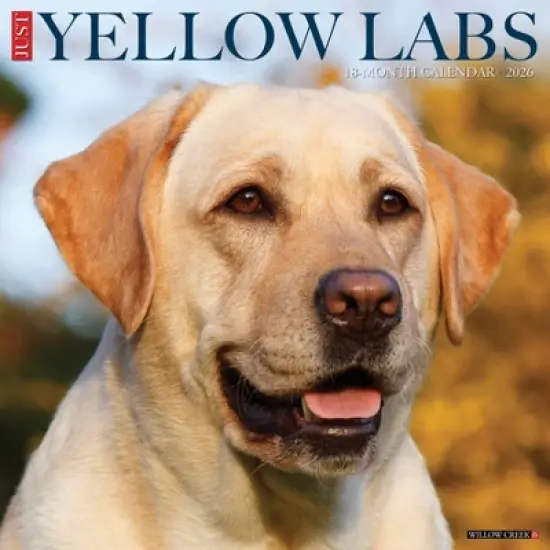 Willow Creek Press 2026 Yellow Labs Wall Calendar image {5}