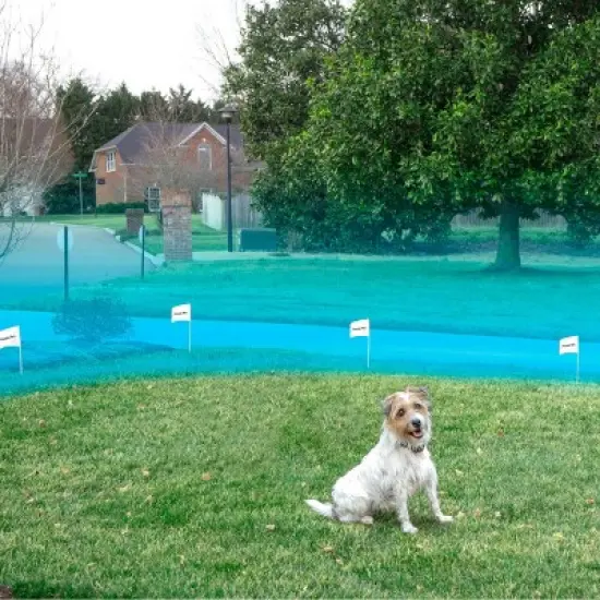 Premier Dog Pet In-Ground Fence - Black image {1}