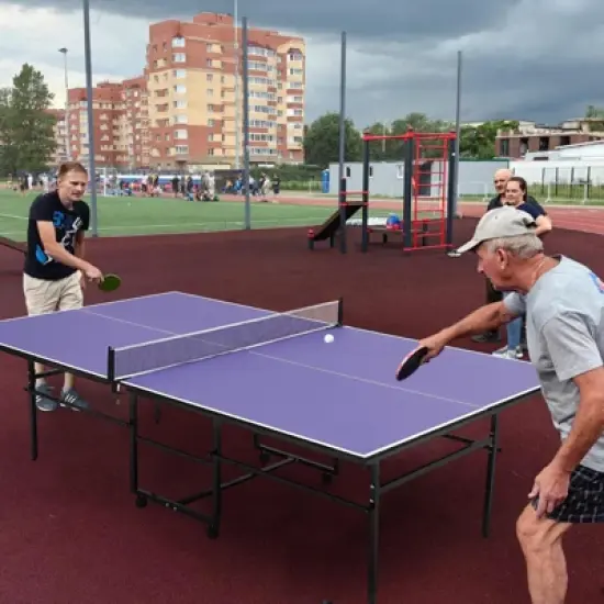 Portable Ping Pong Table, Professional Indoor/Outdoor Table Tennis Tables Game with Net for Adults/Teens,2 Tennis Paddles and 3 Balls image {8}