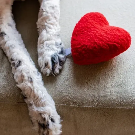 Plush Red Heart Valentine's Day Dog Toy image {2}