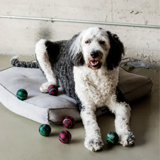 Midlee Dog Christmas Plaid Tennis Balls image {2}