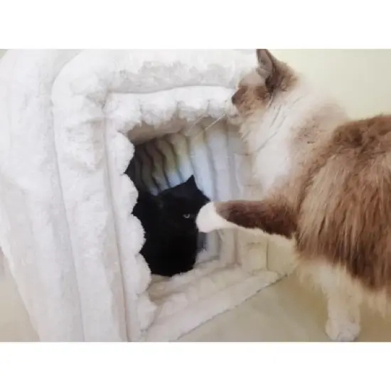 TiramisuBest Storage Ottoman Corduroy Bench Cat's Nest 3D Lamb Fleece Ottoman Oval Storage Bench Multi Functional Ottoman Seat Living Room image {6}