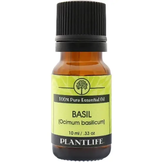 Plantlife Basil Essential Oil &ndash; 100% Pure & Therapeutic Grade &ndash; Natural, Undiluted & Steam-Distilled &ndash; No Additives or Fillers &ndash; Aromatherapy &ndash; 10ml image {2}