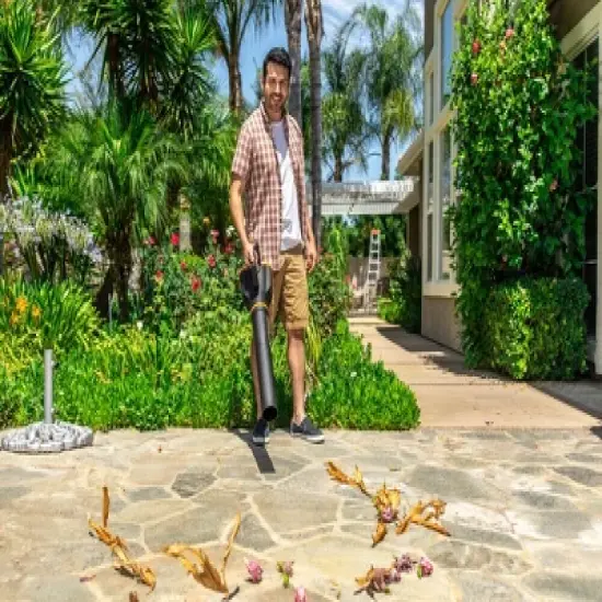 Worx WG547.1 Turbine Two Speed Cordless Leaf Blower image {4}