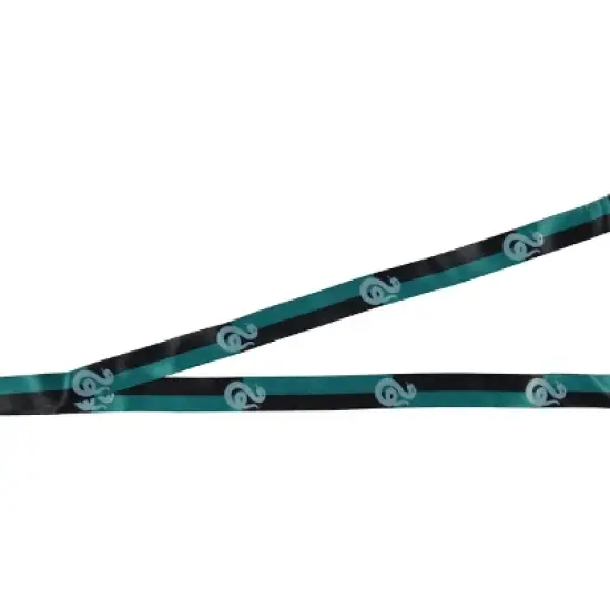 Harry Potter Slytherin House Keychain Lanyard ID Holder Metal Charm With Sticker image {2}