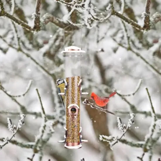 Snynuxx Metal Bird Feeder Tube Hanging, Steel Hanger Great for Attracting Birds (Antique Copper) image {4}