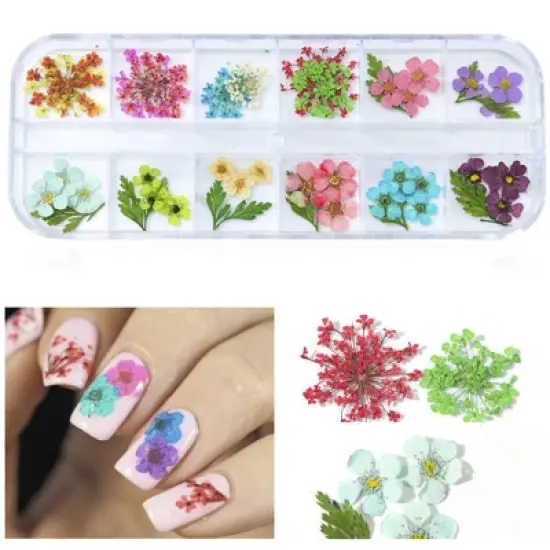 Wrapables Real Dry Flowers Nail Art 3d Flower Nail Decals Nail Manicure with Plastic Case (Set of 12), Posies image {4}
