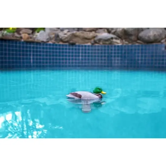 Poolmaster Mallard Duck Floating Swimming Pool and Spa Thermometer image {2}