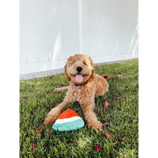 Midlee Smiley Watermelon Squeaker Plush Dog Toy - 5" image {5}