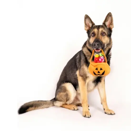 Midlee Find a Toy Halloween Pumpkin Bucket Dog Toy image {2}