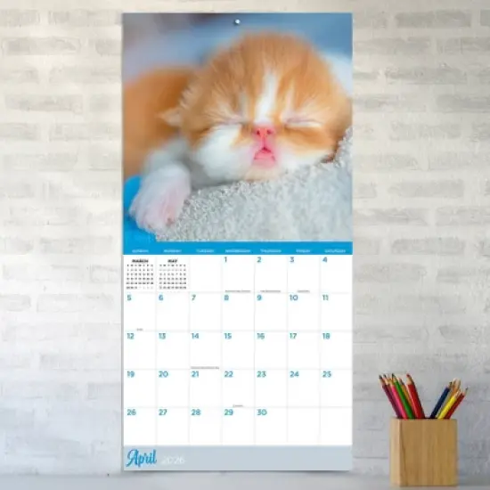 TF Publishing 13.5"x14.5" 2026 Cat Dreams Wall Calendar image {2}