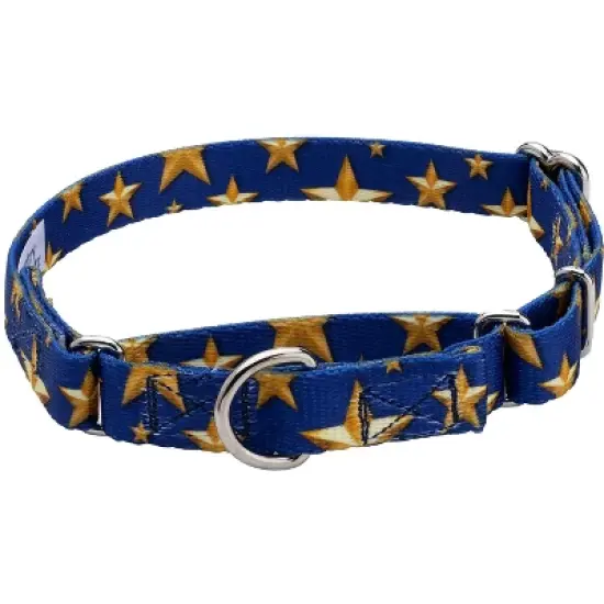 Country Brook Petz Duty Honor Country Martingale Dog Collar (1/2 Inch, 2XS) image {6}