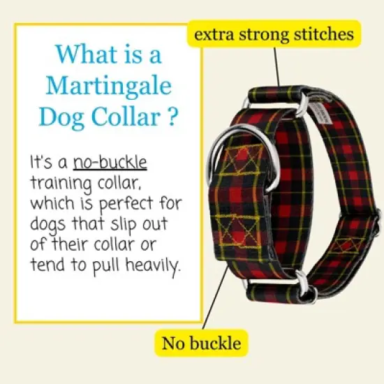 Country Brook Petz HossFit Jr Wide Martingale Dog Collar - Plaid and Argyle Collection image {2}