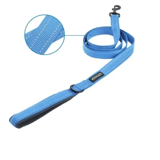Voyager Reflective Dog & Cat Nylon Leash for All Breeds image {1}