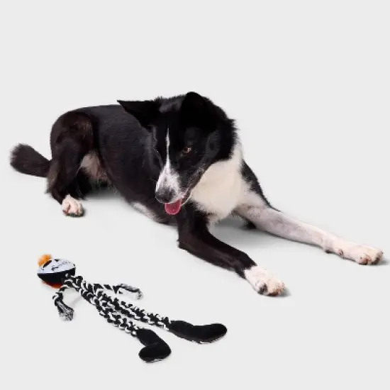 23" Skeleton Dog Rope Plush Toy - Boots & Barkley&trade; image {1}