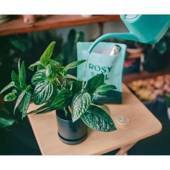 Rosy Soil Potting Soil image {11}