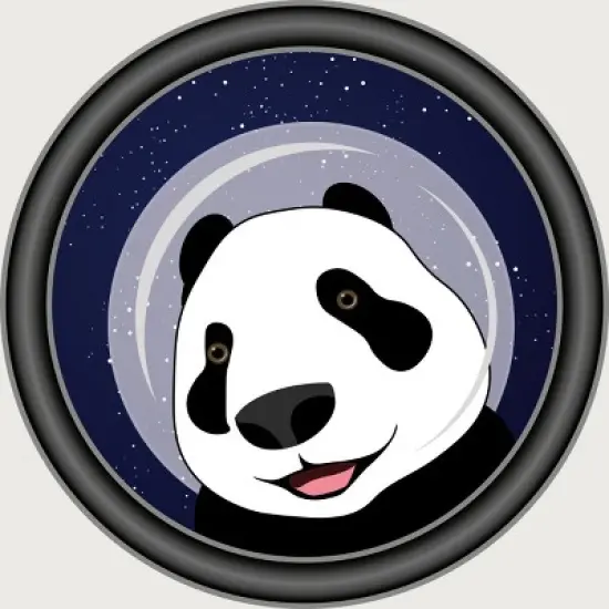 Junior's Design By Humans Cosmopanda By Alpri T-Shirt image {1}