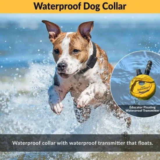 E-Collar ET-300 1/2 Mile Remote Waterproof Trainer Mini Educator Remote Training Collar - 100 Training Levels Plus Vibration and Sound image {4}