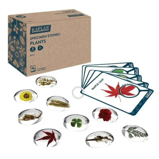 Kaplan Early Learning Specimen Stones and Tabletop Stand image {6}