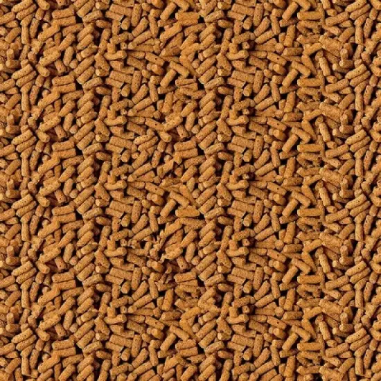 TetraPond Spring & Fall Diet Floating Pond Sticks Fish Food, 1.72-Pound image {1}