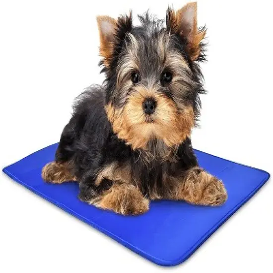 Arf Pets Dog Cooling Mat, Self Cooling Pet Bed - 12" x 16" Cold Pad image {1}