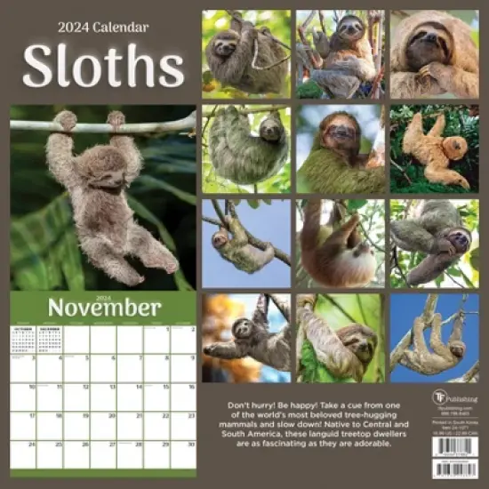 TF Publishing 2024 Wall Calendar 12"x12" Sloths image {4}