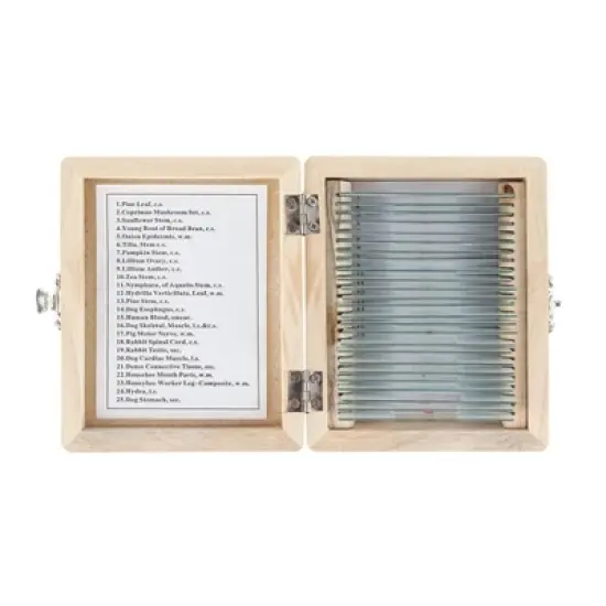 25pc Set of Prepared Plant, Animal, Insect, and Fungus Glass Slides in a Wooden Storage Box - AmScope image {3}