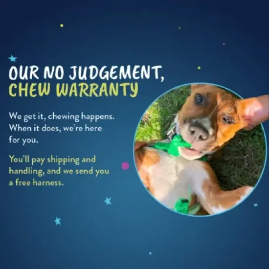 2 Hounds Design Freedom No-Pull Dog Harness Training Package (5/8") Small, Black image {4}