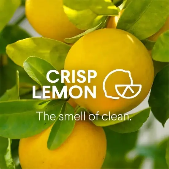 Clorox Lemon All Purpose Liquid Cleaner Refill image {5}