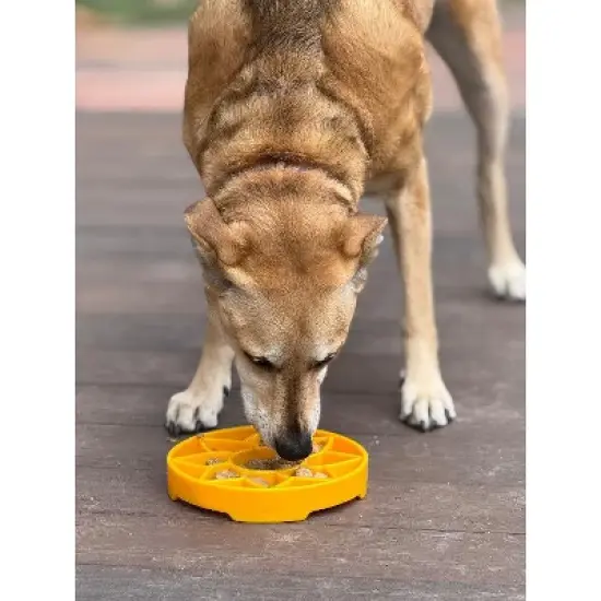 Sunflower Design eTray Enrichment Shallow Slow Feeder Dog Bowl image {8}
