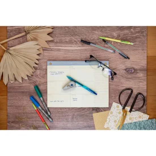 BiC 2pk ECOlutions Correction Tape image {5}