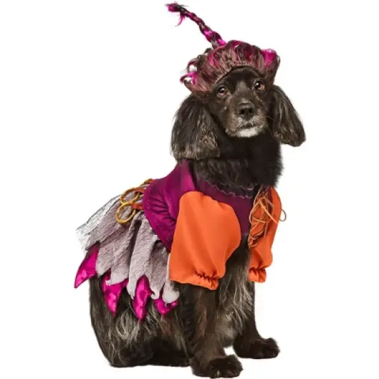 Rubies Hocus Pocus Mary Pet Costume image {2}