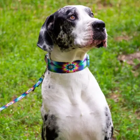 Country Brook Petz Tie Dye Flowers Martingale Dog Collar image {7}