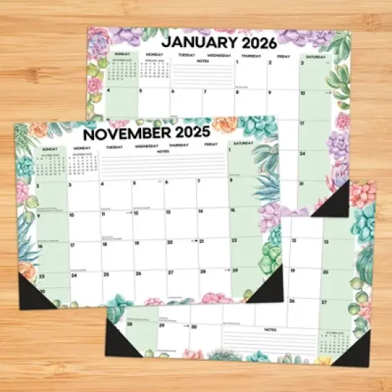 Willow Creek Press Succulents Academic July 2025 - June 2026 17"x12" Small Monthly Deskpad Calendar image {1}