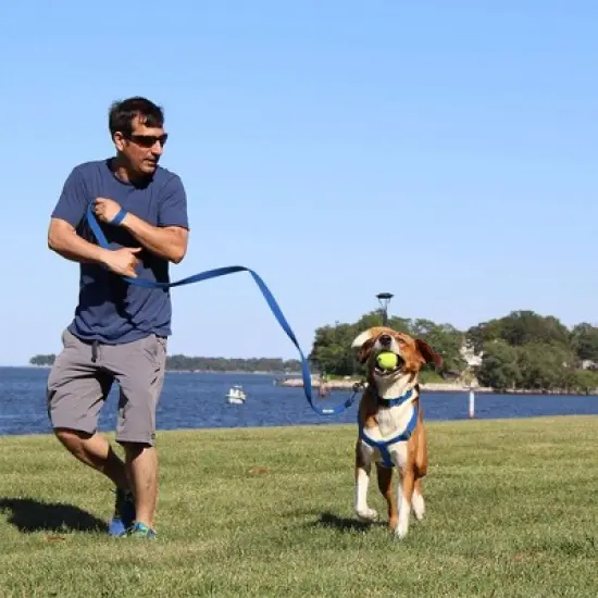 Recycled Reflective Dog Harness image {7}