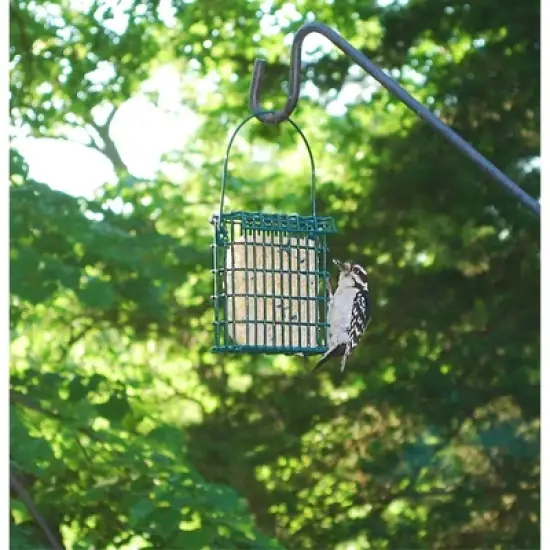 Wildlife Sciences Suet Plus Variety 6 Pack, Eco-Friendly Packaging image {7}