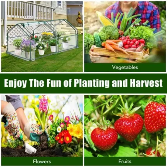 Mini Greenhouse for Outdoor,Portable Greenhouse  Outdoor Garden w/ Roll-up Zipper Door,Waterproof & UV Protected Green House for Garden Patio Backyard image {5}