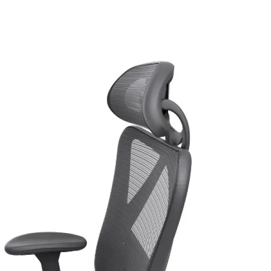 Tandera Mesh Ergonomic Swivel Office Chair - miBasics image {10}