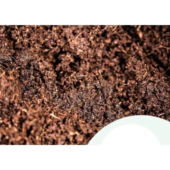 Window Garden 20 Cavity Seed Propagation Kits - 2 Pack image {2}