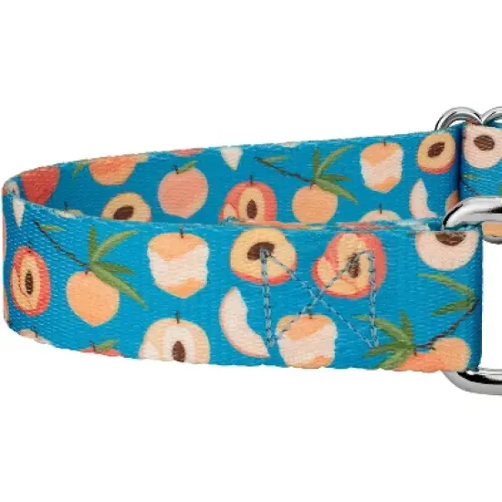 Country Brook Petz Peaches Martingale Dog Collar image {3}