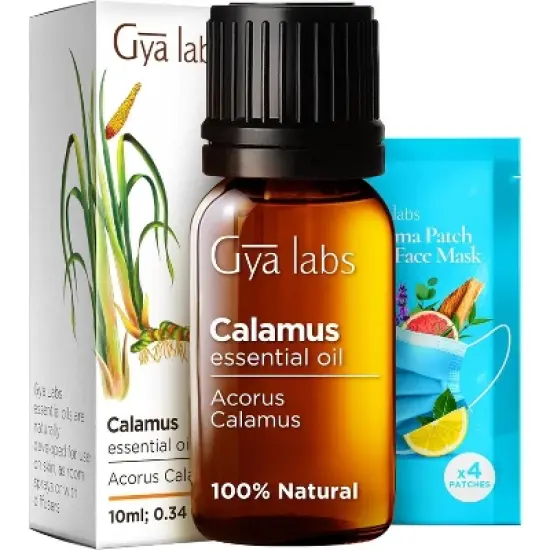 Calamus Essential Oil for Hair - 0.34 Fl Oz - Gya Labs Calamus Oil for Diffuser, Skin, Aromatherapy, Massages & Candle Making Scent image {6}