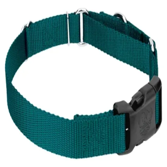 Country Brook Petz Durable Nylon Martingale with Deluxe Buckle - Made in the USA image {5}