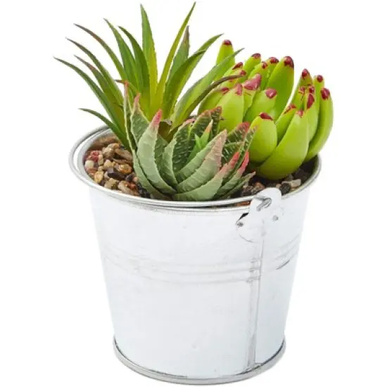 Juvale 4 Pack Artificial Succulents Plants, Faux Fake Cactus with Iron Bucket for Garden & Patio Decor, 6.5 in image {4}