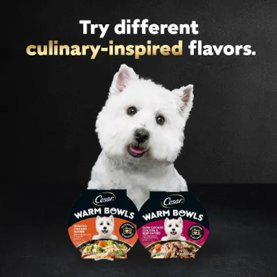 Cesar Warm Bowls Roasted Chicken Flavor Entr&eacute;e Adult Wet Dog Food - 2.7oz image {9}