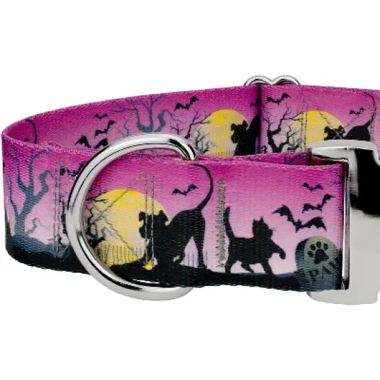 Country Brook Petz HossFit Jr Wide Premium  Dog Collar - Halloween Collection image {3}